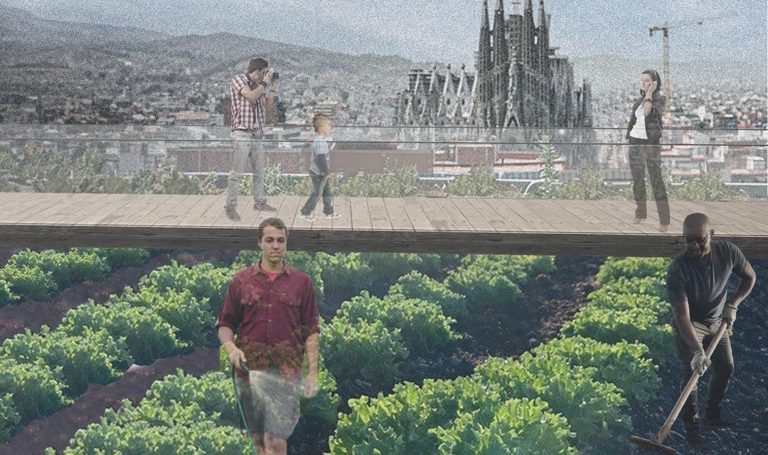 Reusing Rooftops | Barcelona